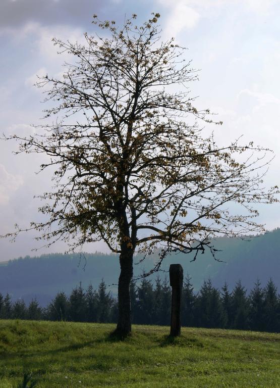 Ferienwohnung Tischneck Schramberg Exteriér fotografie